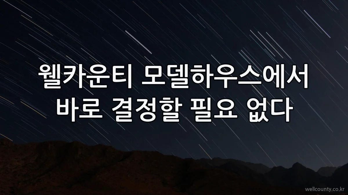 웰카운티 모델하우스에서 바로 결정할 필요 없다