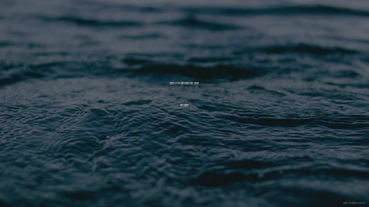 예산별 WH 호반 아파트 추천: 가성비 분석 가이드