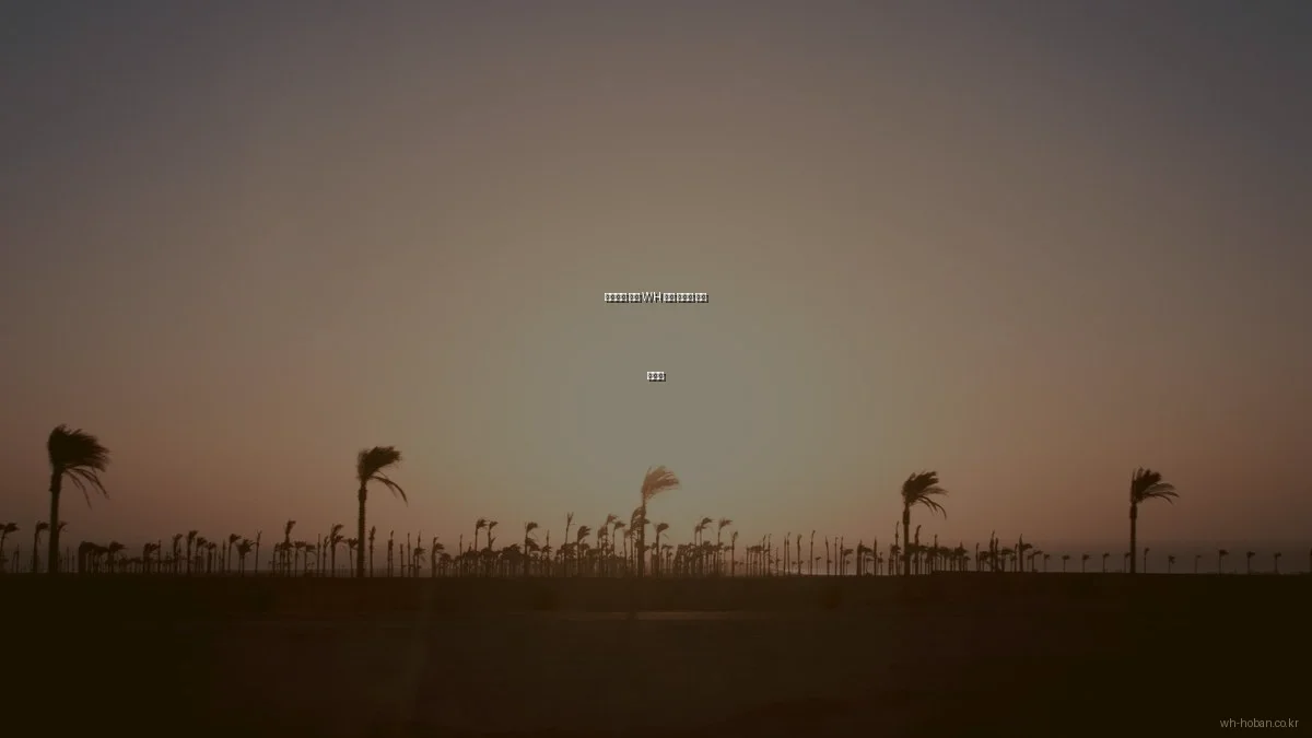 초보자를 위한 WH 호반 아파트 분양 가이드