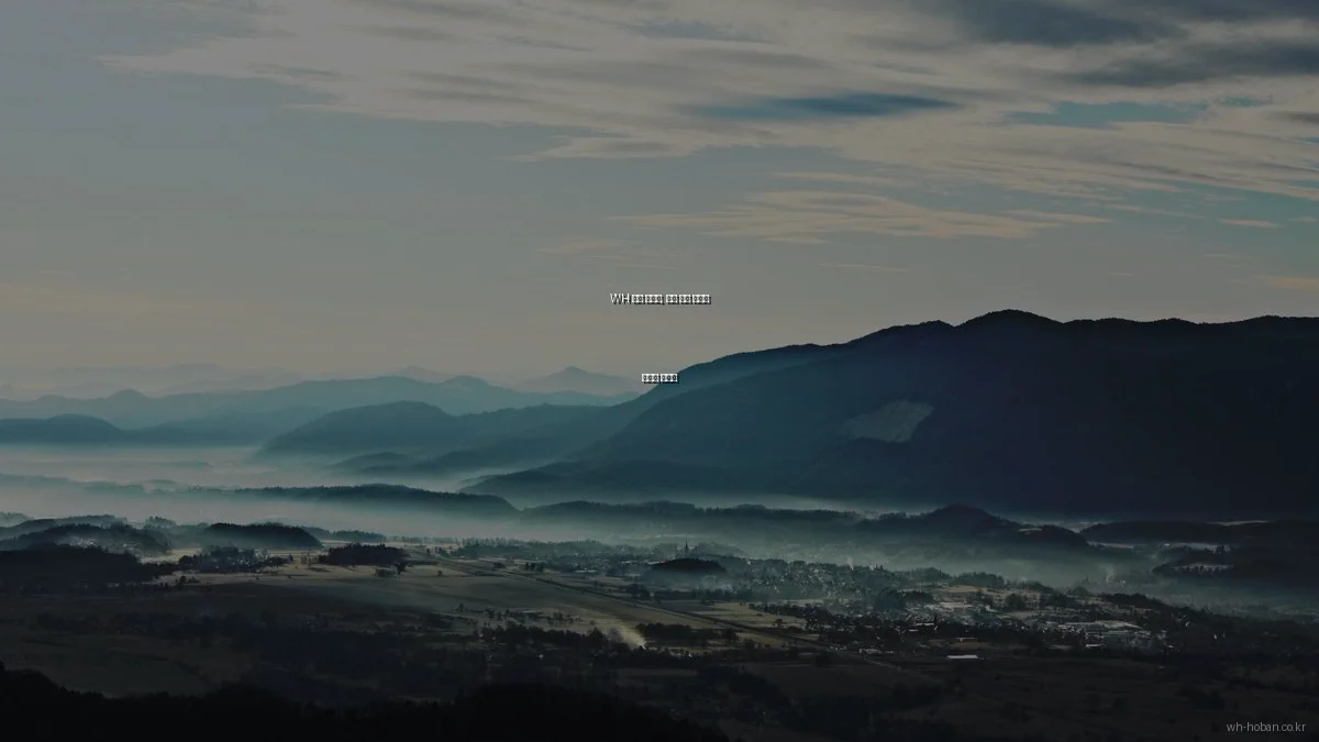 WH 호반 아파트, 흔한 고장 원인과 해결법 가이드