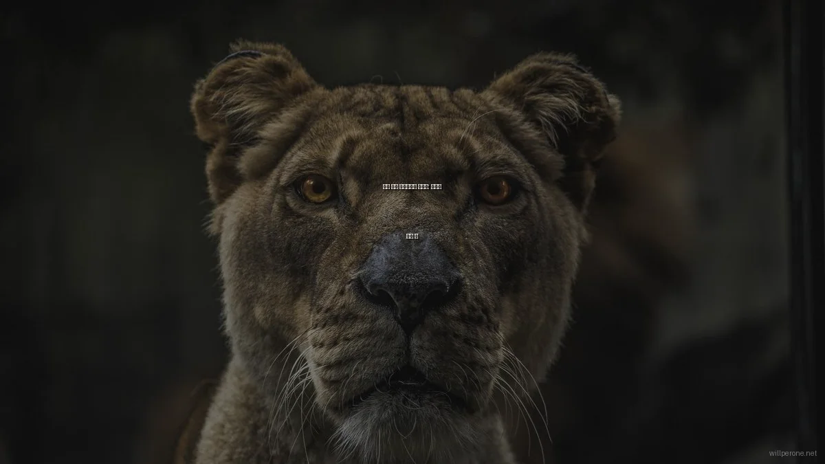 봄철 게임 프로그래밍 트렌드: 생산성 향상 팁