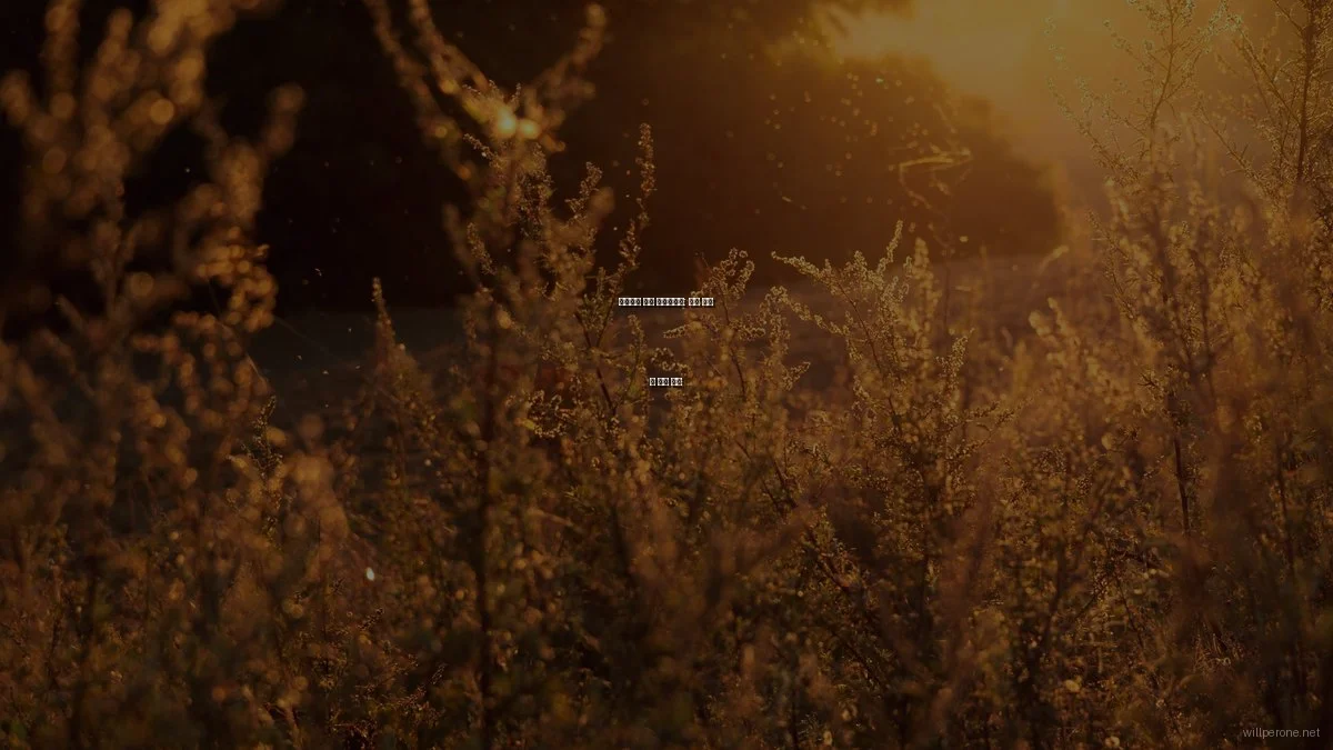 효율적인 게임 프로그래밍: 소스 관리 툴 비교 분석