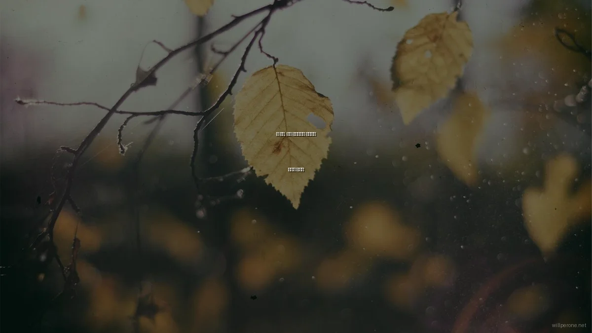 봄 시즌, 게임 프로그래밍 프로젝트 최적화 가이드