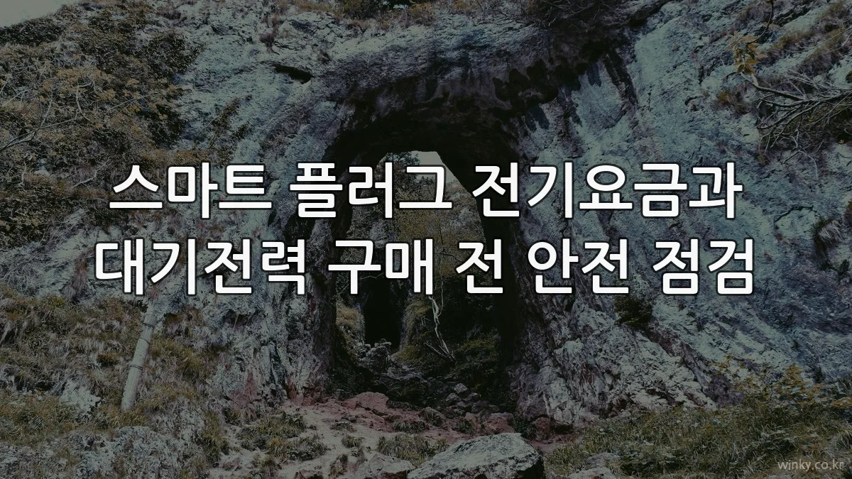 스마트 플러그 전기요금과 대기전력 구매 전 안전 점검