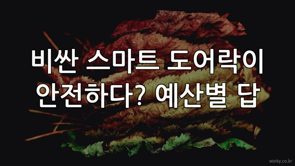 비싼 스마트 도어락이 안전하다? 예산별 답