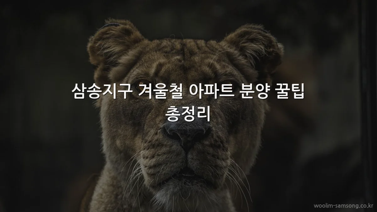 삼송지구 겨울철 아파트 분양 꿀팁 총정리