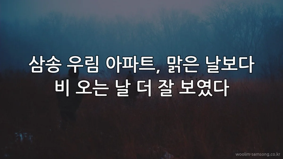 삼송 우림 아파트, 맑은 날보다 비 오는 날 더 잘 보였다