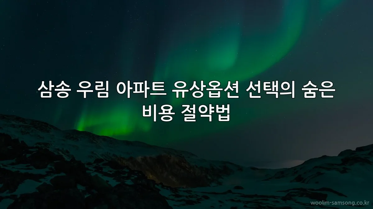 삼송 우림 아파트 유상옵션 선택의 숨은 비용 절약법