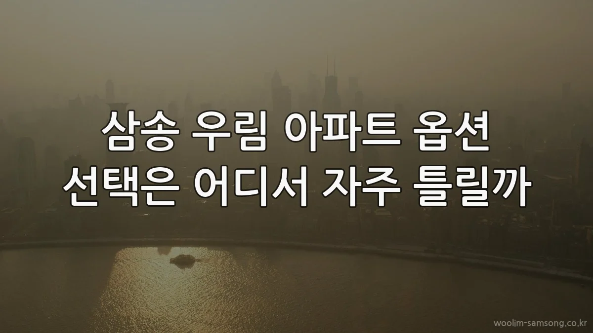 삼송 우림 아파트 옵션 선택은 어디서 자주 틀릴까