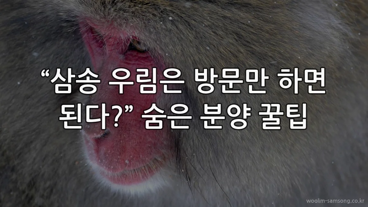“삼송 우림은 방문만 하면 된다?” 숨은 분양 꿀팁