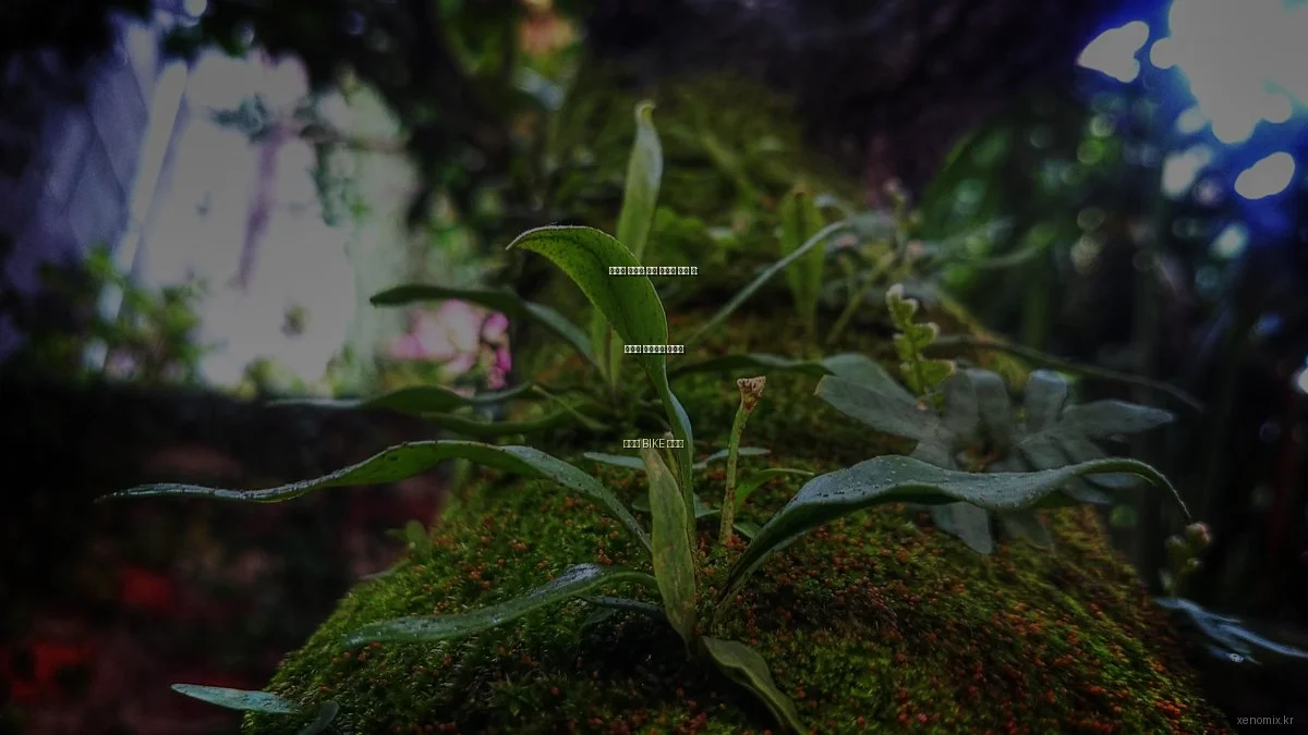 자전거 거치대 사용 후기와 추천 팁: 안전한 라이딩의 필수템