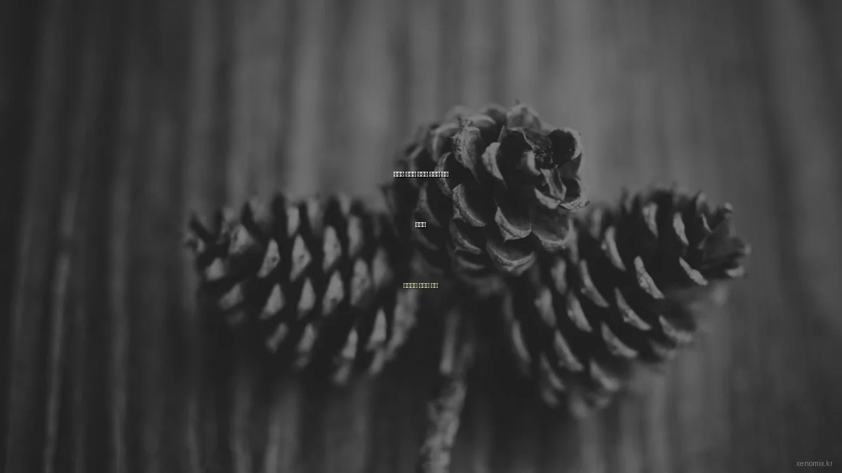 예산별 차량용 스마트 거치대 추천 가이드