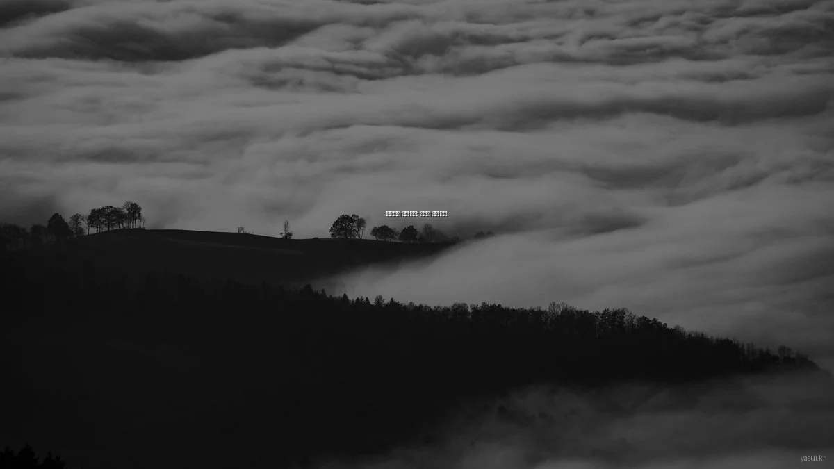 생활용품 활용 꿀팁: 숨겨진 쇼핑 비법