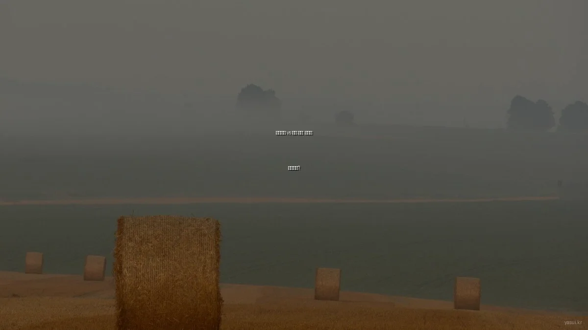 생활용품 vs 패션 쇼핑: 어디에 투자할까?