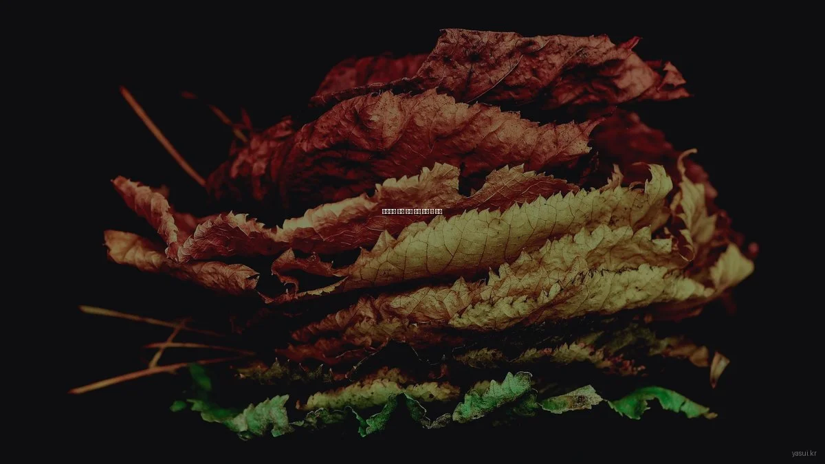 합리적인 패션 잡화 비교 분석 및 추천