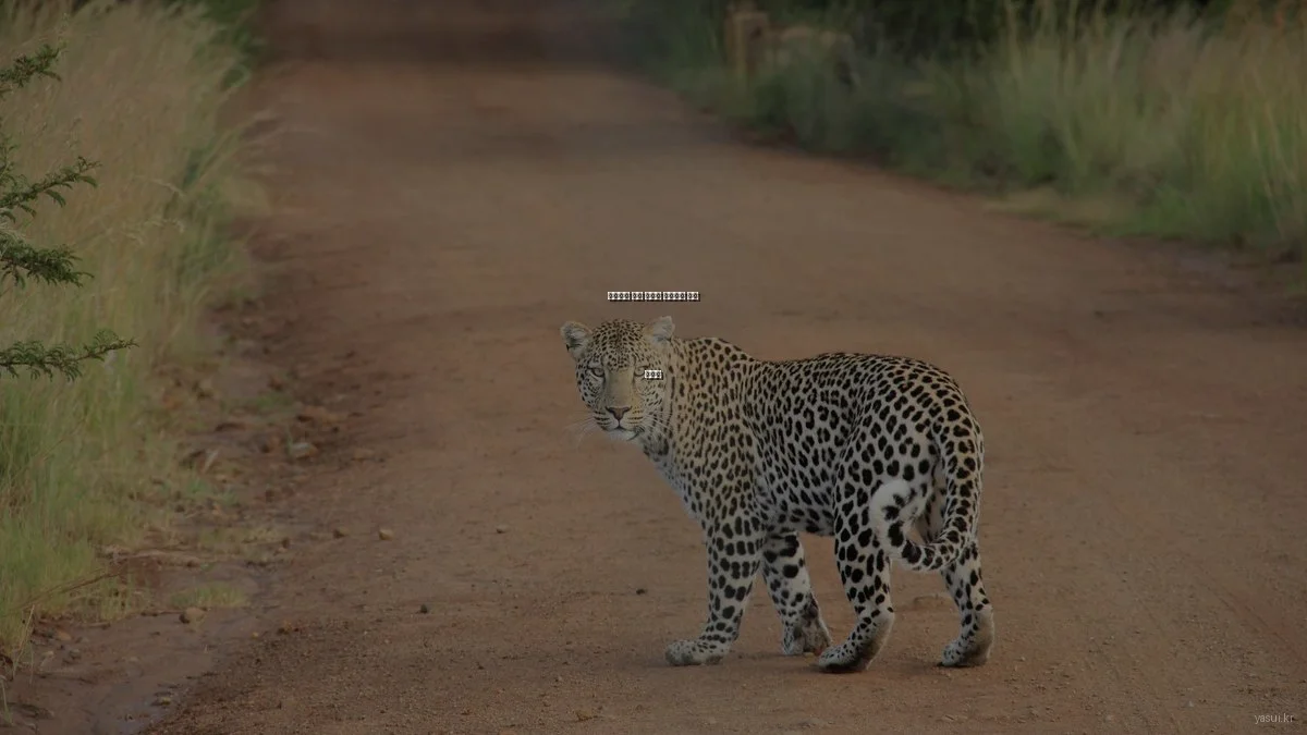 초보자를 위한 합리적 생활용품 쇼핑 가이드