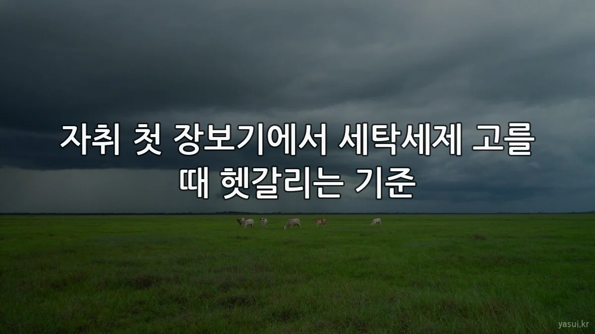 자취 첫 장보기에서 세탁세제 고를 때 헷갈리는 기준