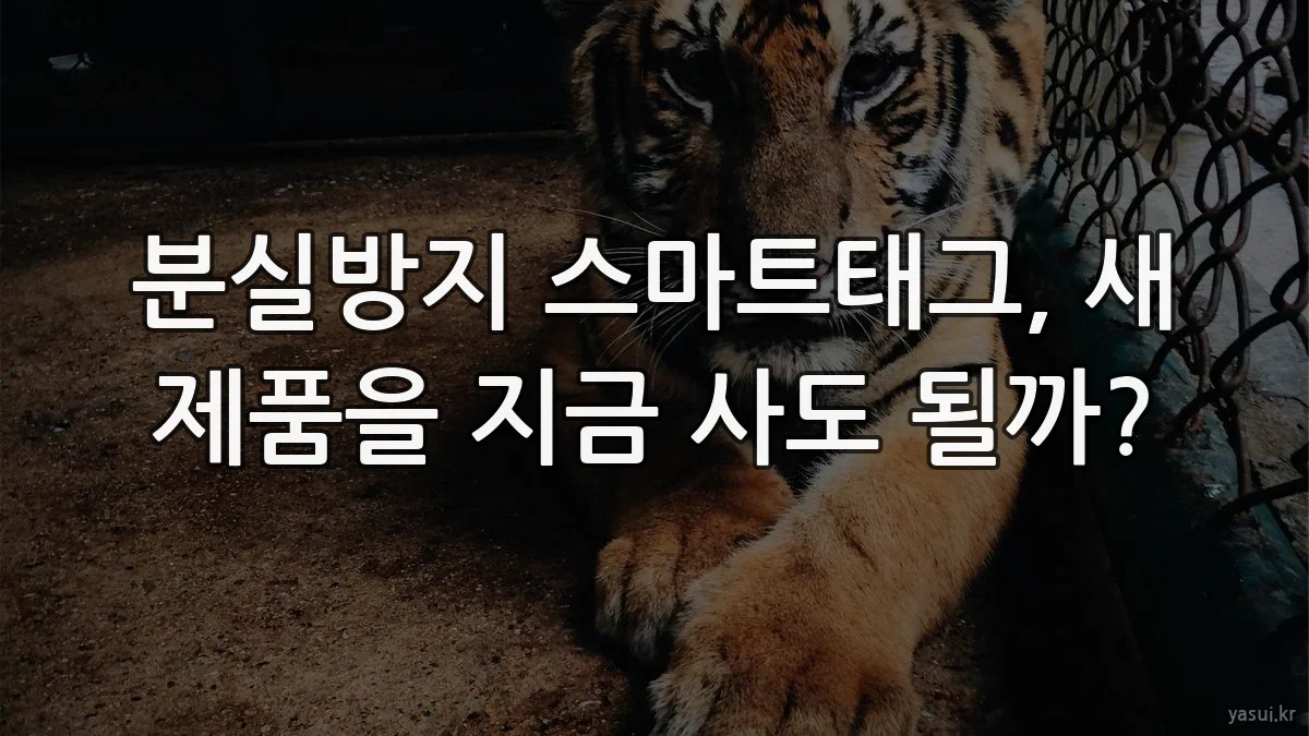 분실방지 스마트태그, 새 제품을 지금 사도 될까?