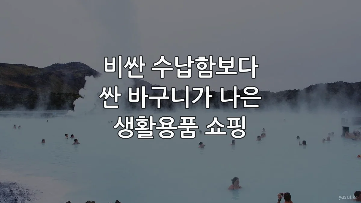 비싼 수납함보다 싼 바구니가 나은 생활용품 쇼핑