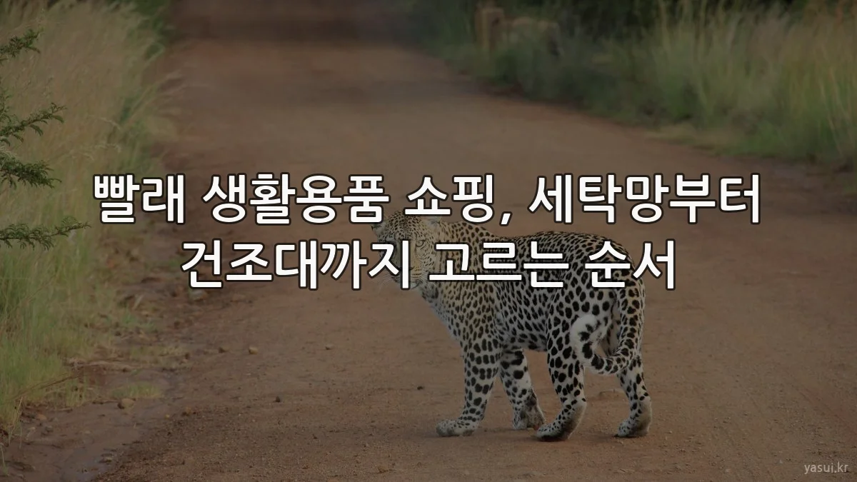 빨래 생활용품 쇼핑, 세탁망부터 건조대까지 고르는 순서