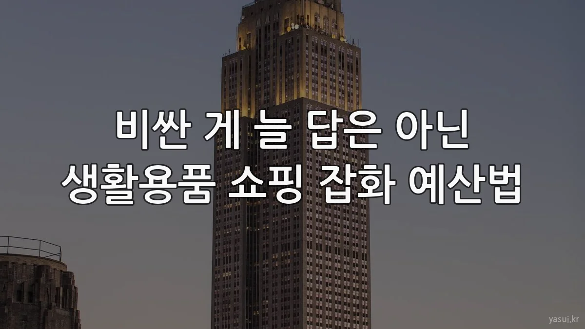 비싼 게 늘 답은 아닌 생활용품 쇼핑 잡화 예산법