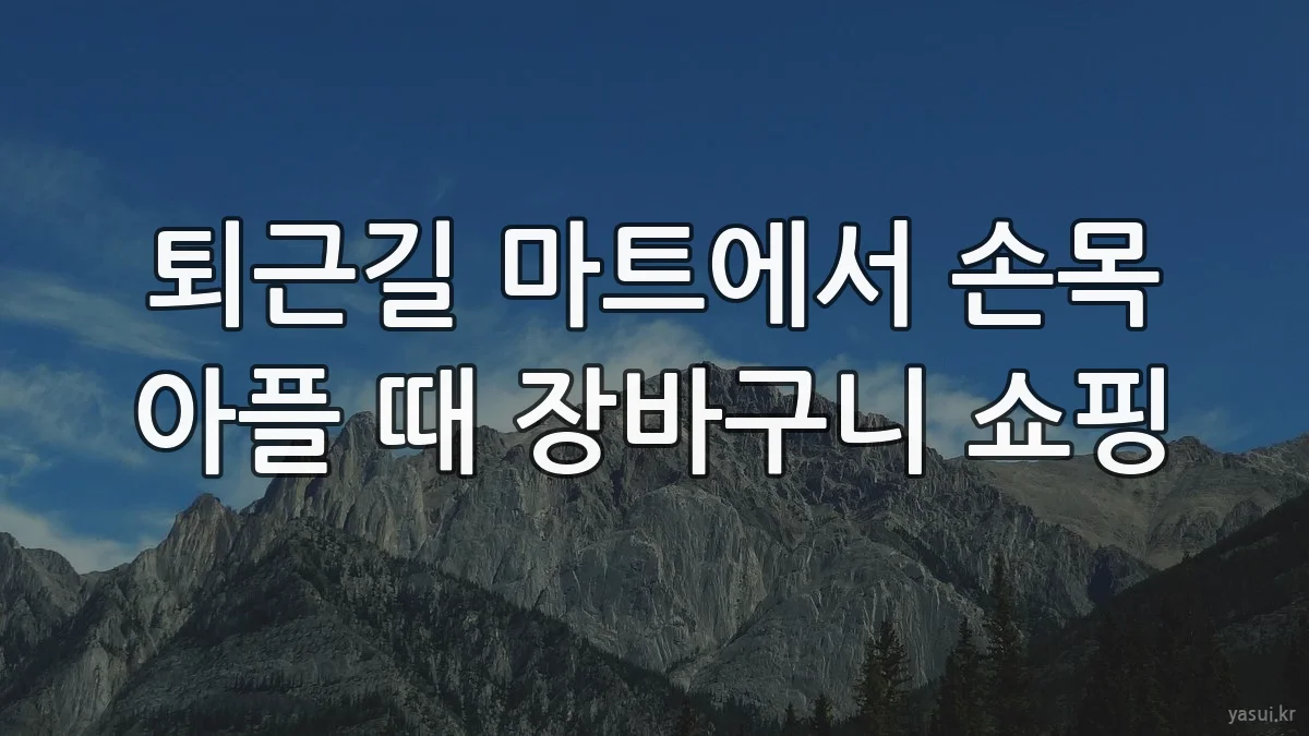 퇴근길 마트에서 손목 아플 때 장바구니 쇼핑