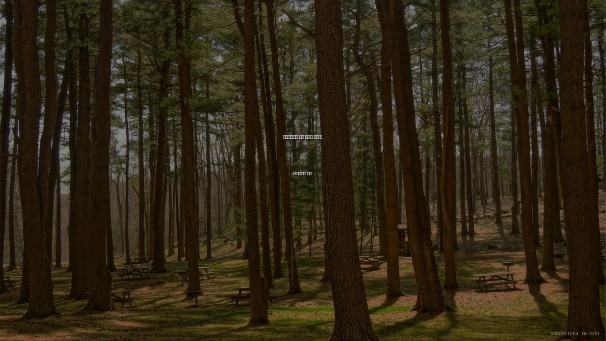 이순신마리나 요트 대여의 모든 것, 전문가와의 대화