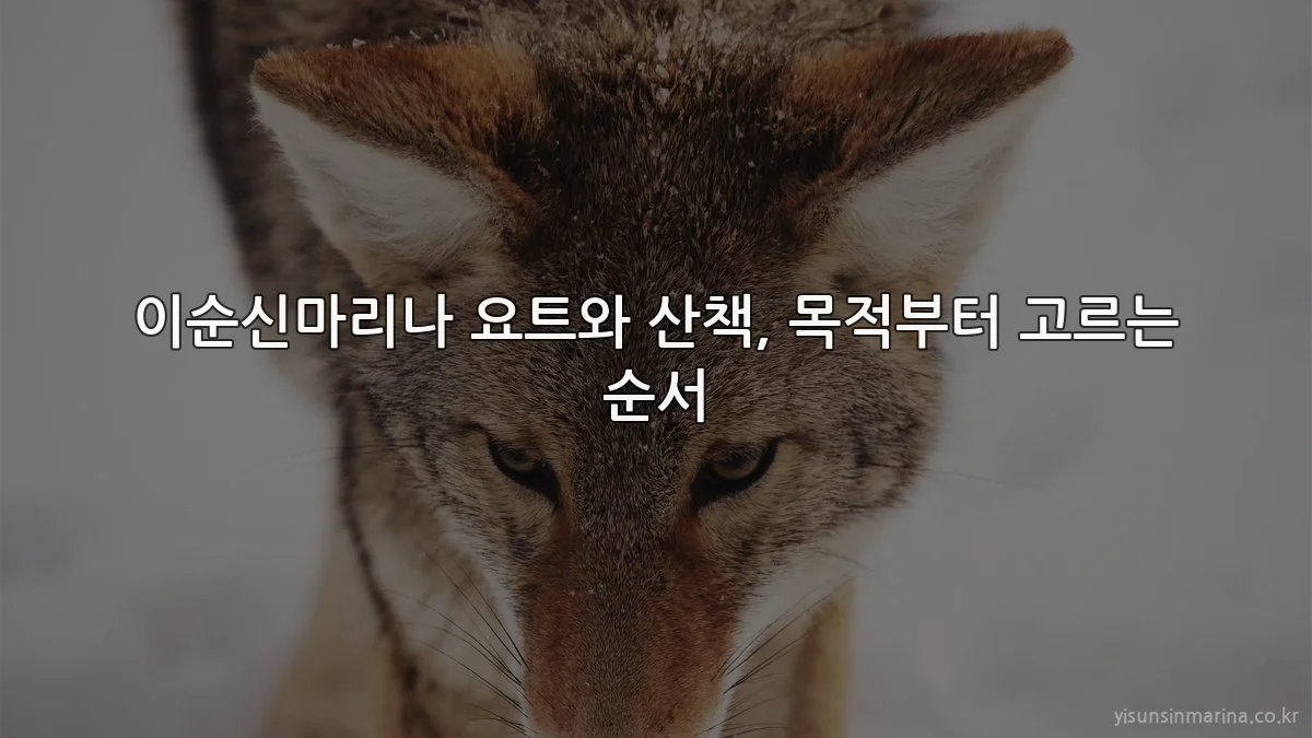 이순신마리나 요트와 산책, 목적부터 고르는 순서