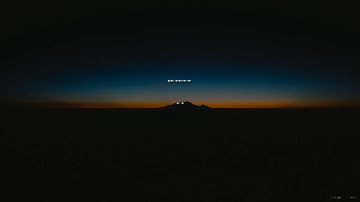 프리미엄 셀렉트샵 전문가 인터뷰: 선택의 기술