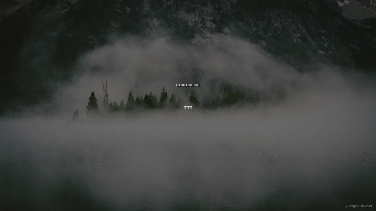 프리미엄 셀렉트샵 구매 전 필수 체크포인트