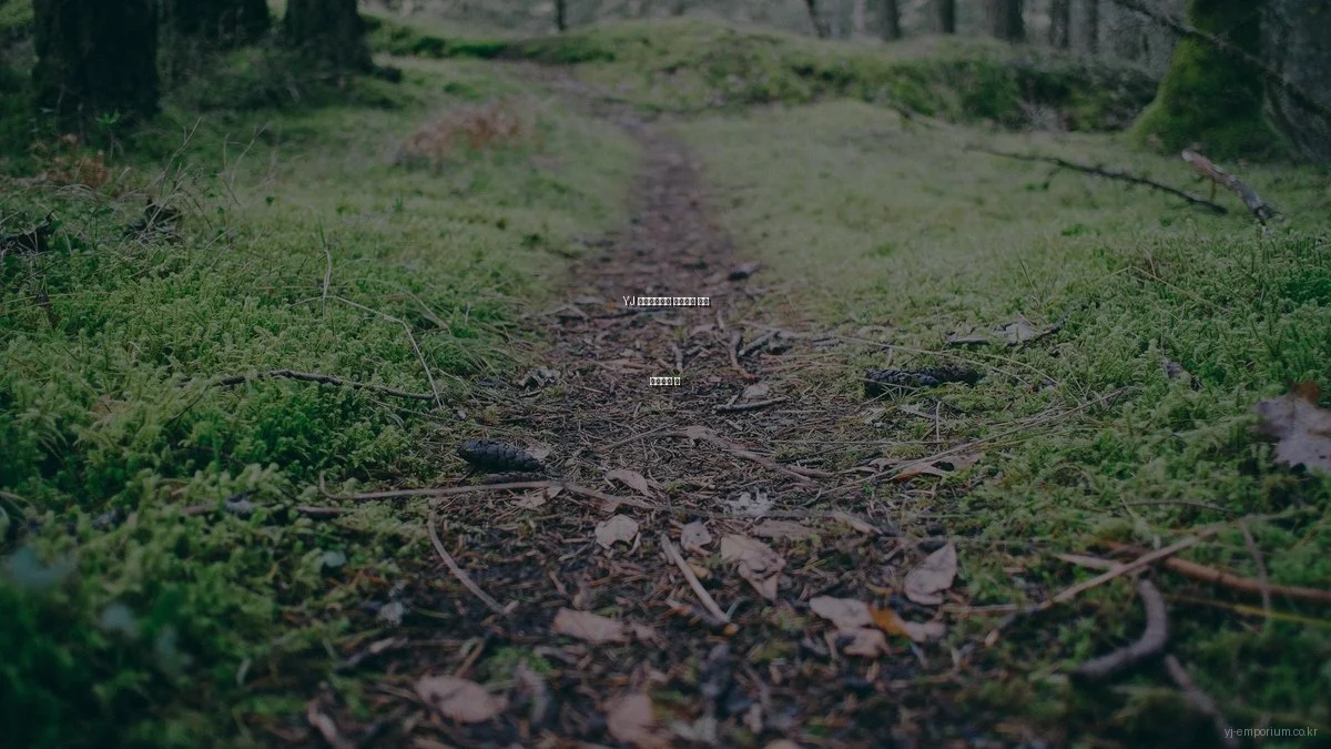YJ 엠포리엄에서 프리미엄 쇼핑 시작하는 법