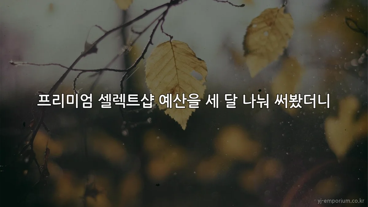 프리미엄 셀렉트샵 예산을 세 달 나눠 써봤더니