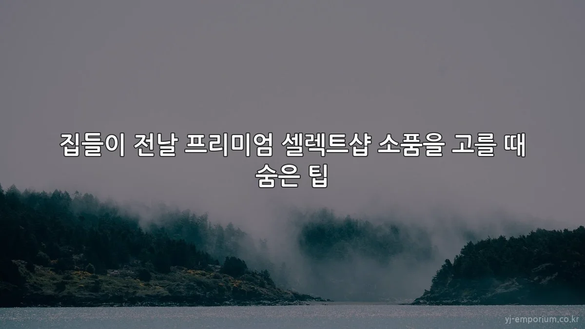 집들이 전날 프리미엄 셀렉트샵 소품을 고를 때 숨은 팁