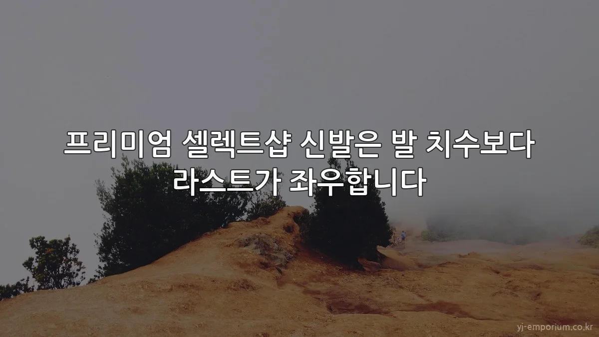 프리미엄 셀렉트샵 신발은 발 치수보다 라스트가 좌우합니다