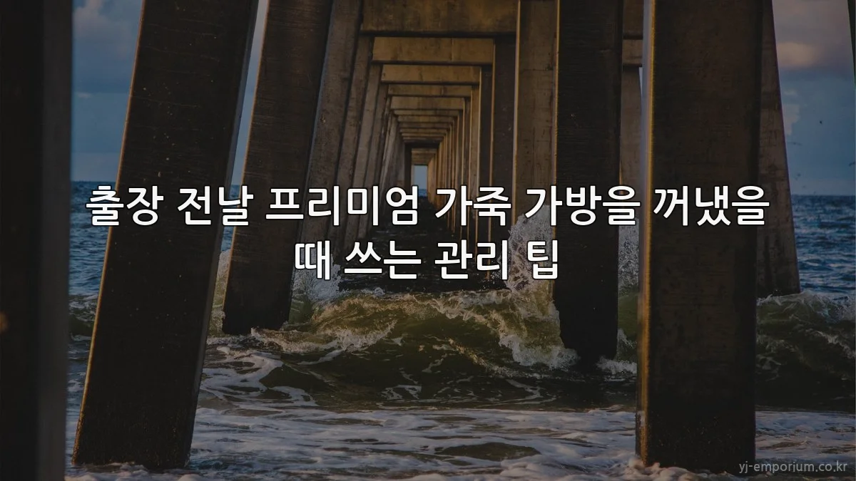 출장 전날 프리미엄 가죽 가방을 꺼냈을 때 쓰는 관리 팁