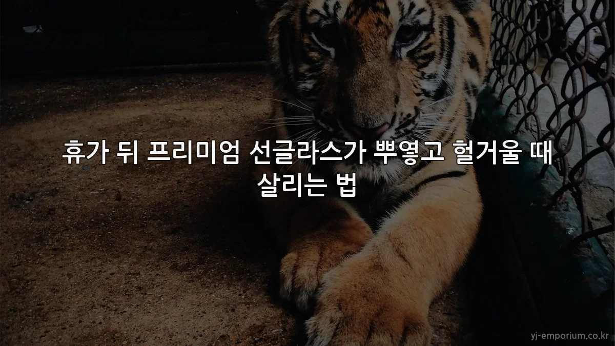 휴가 뒤 프리미엄 선글라스가 뿌옇고 헐거울 때 살리는 법