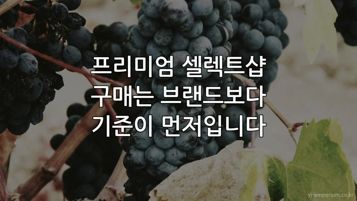 프리미엄 셀렉트샵 구매는 브랜드보다 기준이 먼저입니다