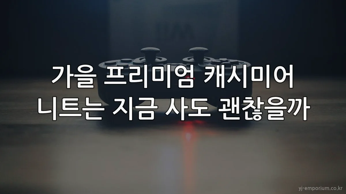 가을 프리미엄 캐시미어 니트는 지금 사도 괜찮을까