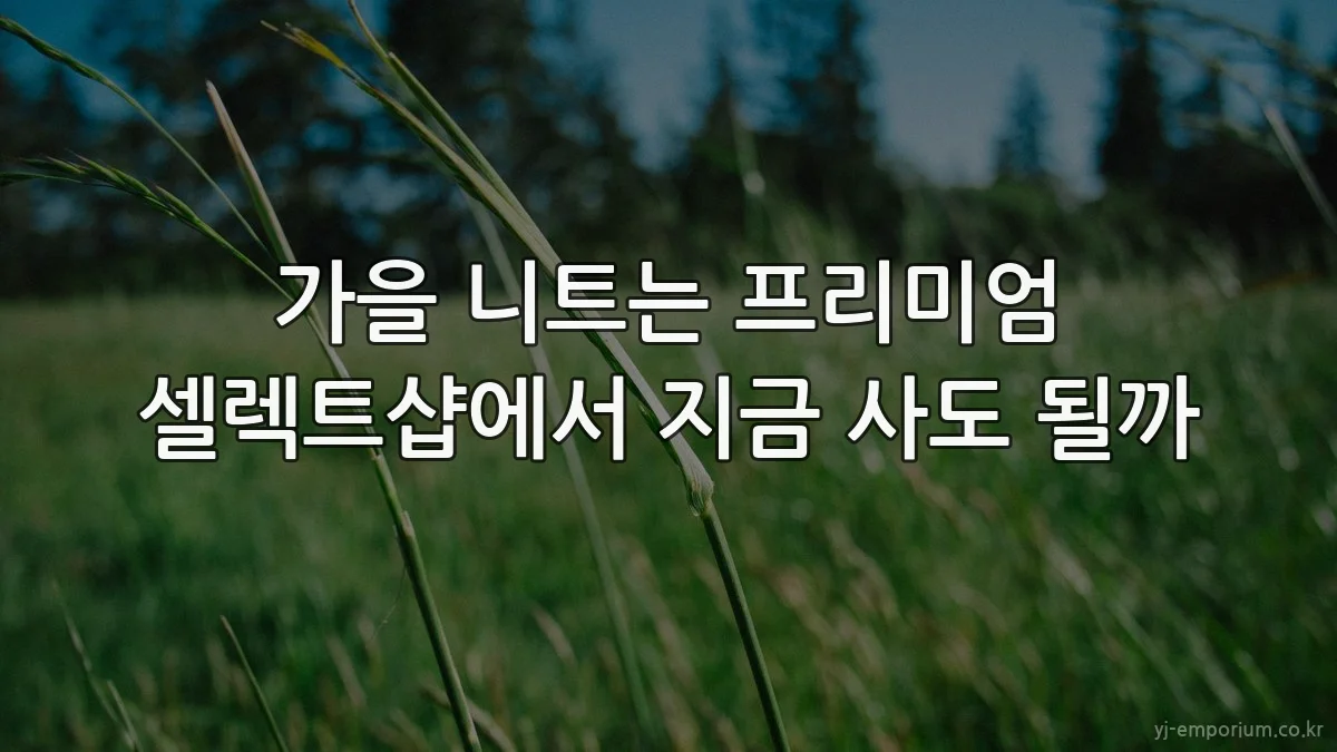 가을 니트는 프리미엄 셀렉트샵에서 지금 사도 될까