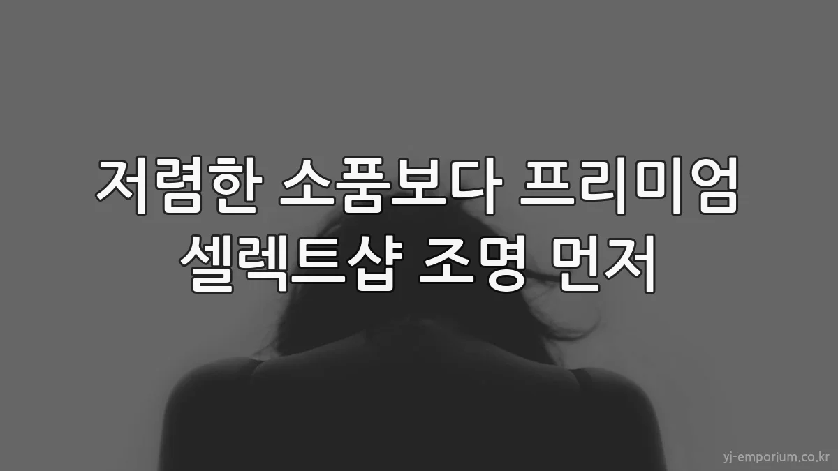 저렴한 소품보다 프리미엄 셀렉트샵 조명 먼저