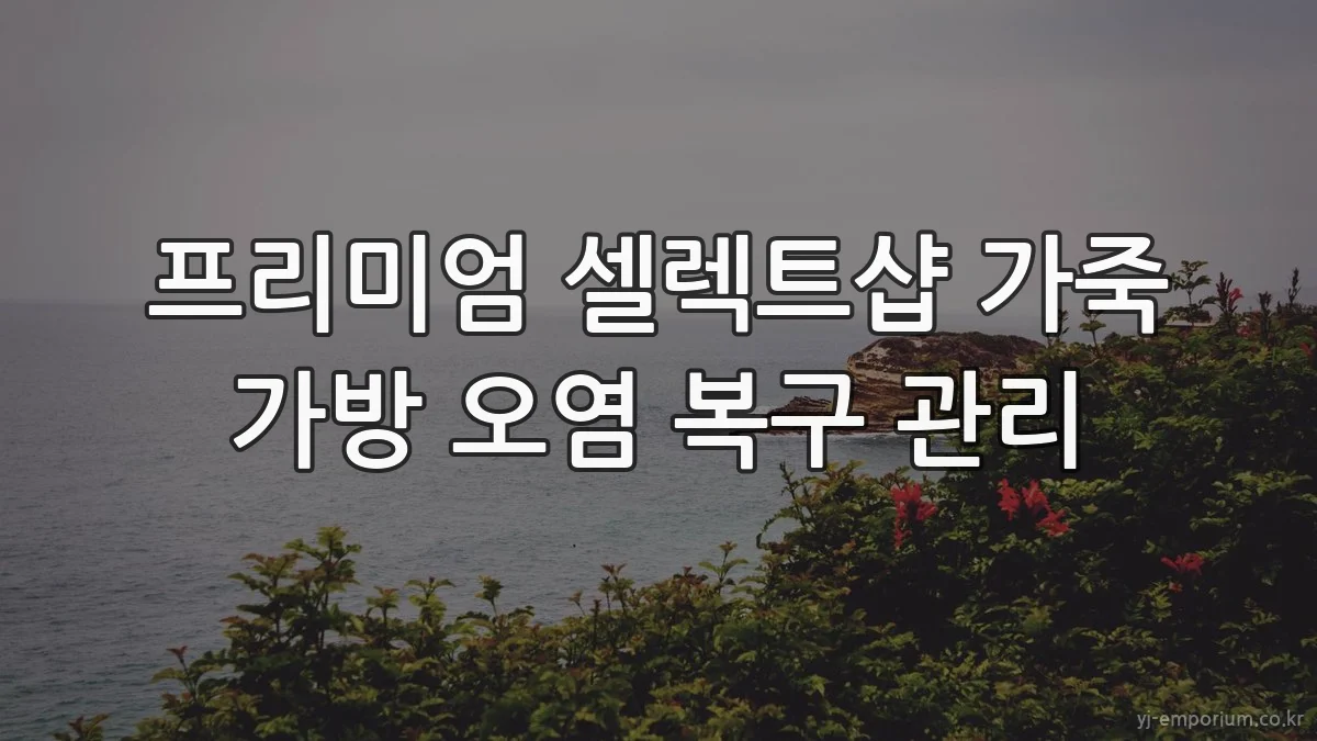 프리미엄 셀렉트샵 가죽 가방 오염 복구 관리