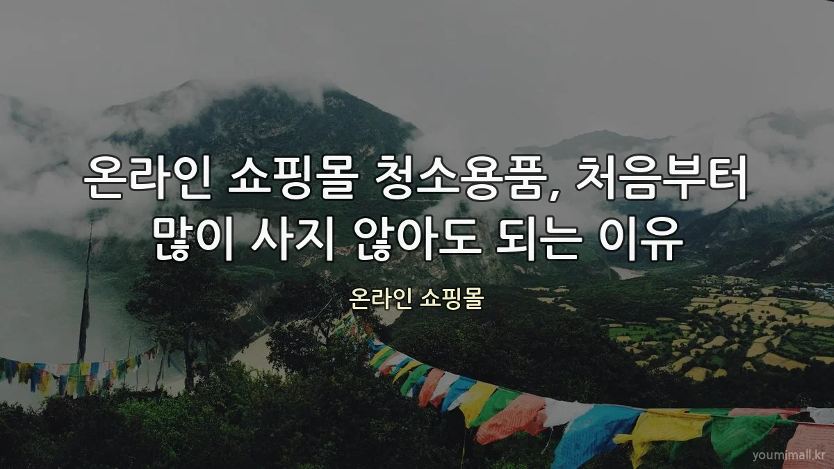 온라인 쇼핑몰 청소용품, 처음부터 많이 사지 않아도 되는 이유