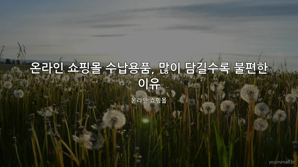 온라인 쇼핑몰 수납용품, 많이 담길수록 불편한 이유