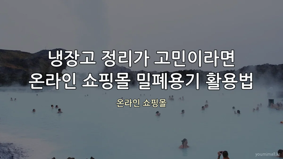 냉장고 정리가 고민이라면 온라인 쇼핑몰 밀폐용기 활용법