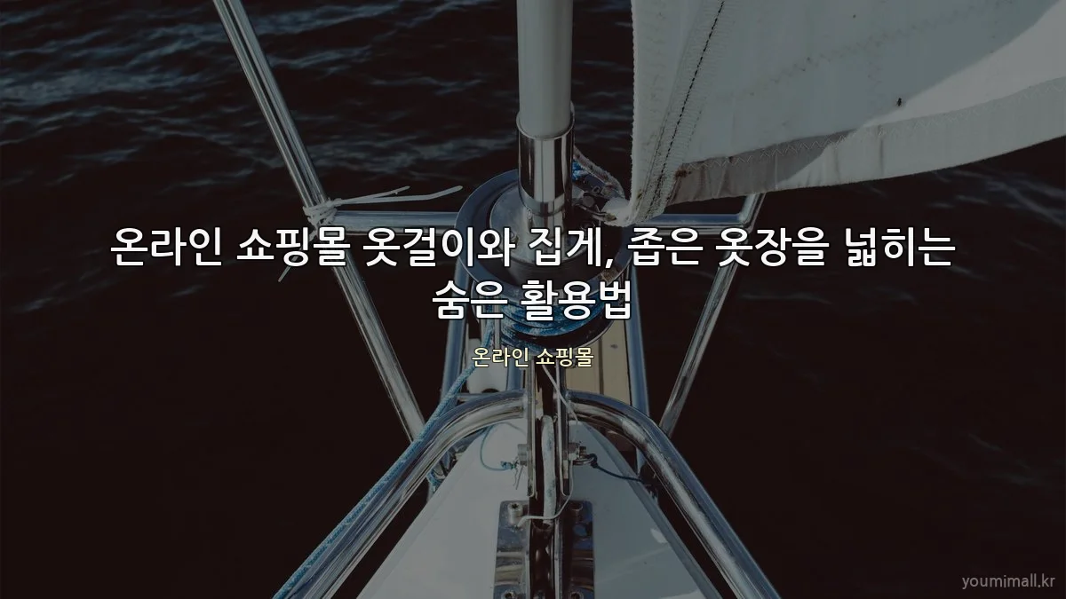 온라인 쇼핑몰 옷걸이와 집게, 좁은 옷장을 넓히는 숨은 활용법