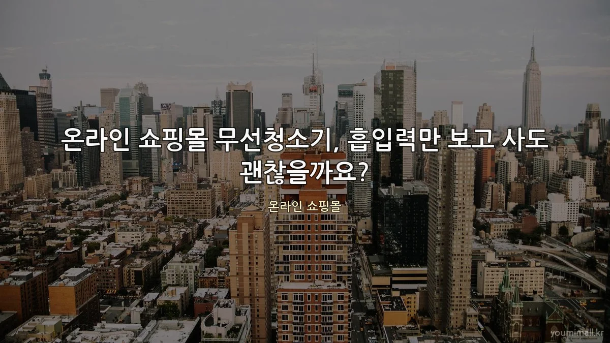 온라인 쇼핑몰 무선청소기, 흡입력만 보고 사도 괜찮을까요?