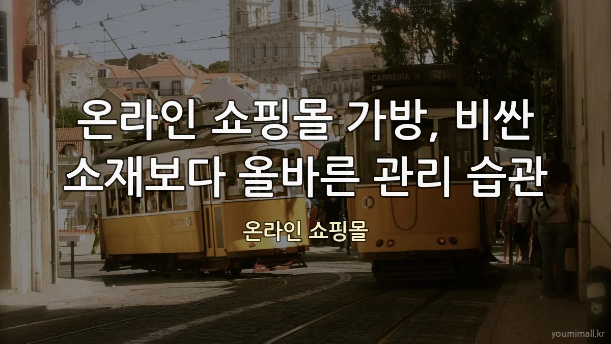 온라인 쇼핑몰 가방, 비싼 소재보다 올바른 관리 습관
