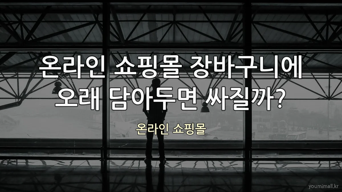 온라인 쇼핑몰 장바구니에 오래 담아두면 싸질까?