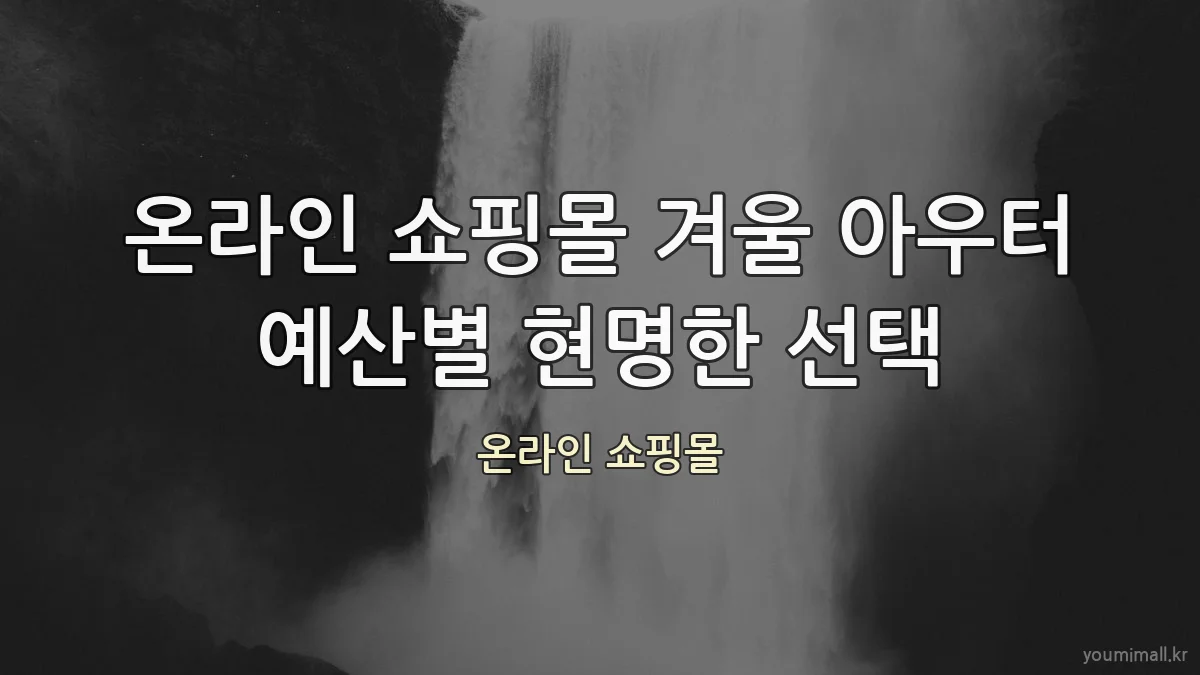 온라인 쇼핑몰 겨울 아우터 예산별 현명한 선택