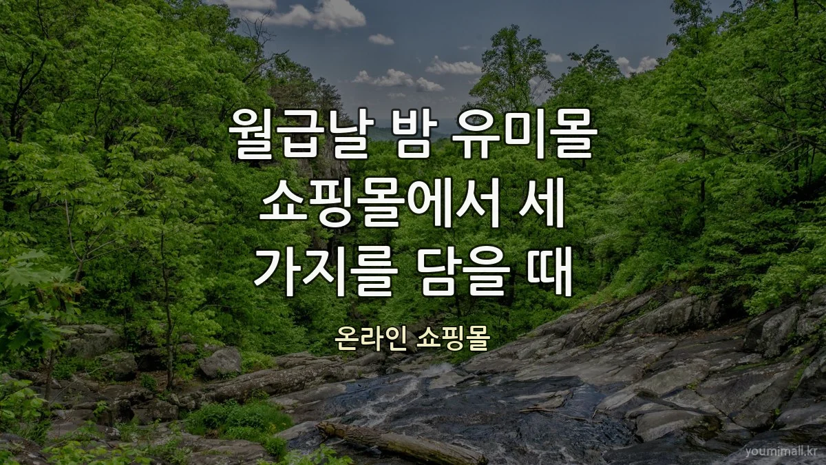 월급날 밤 유미몰 쇼핑몰에서 세 가지를 담을 때